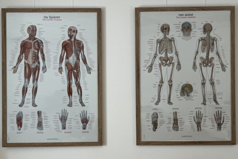 Praktijk posters